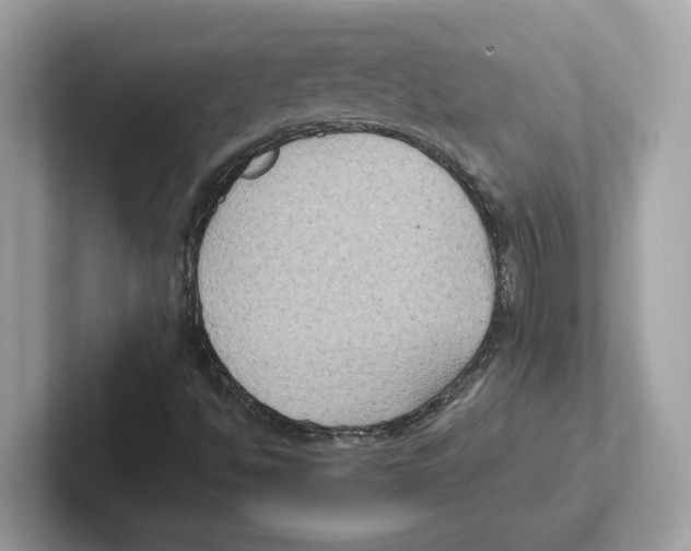 X0000100941494200807221147