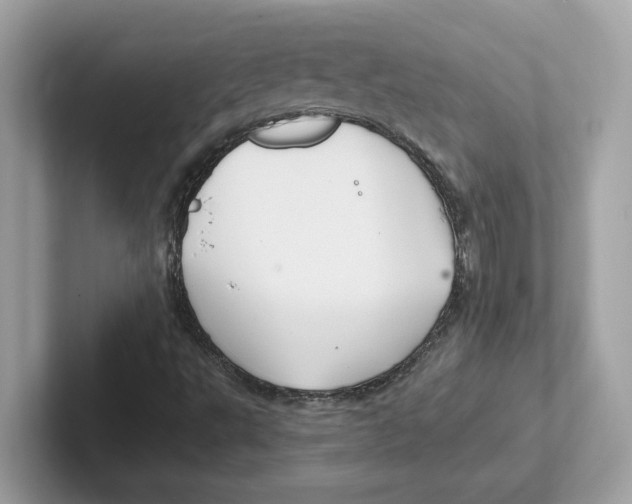 X0000100941495200807221147