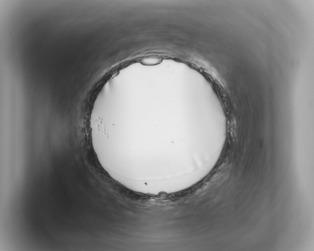 X0000100941496200807221147