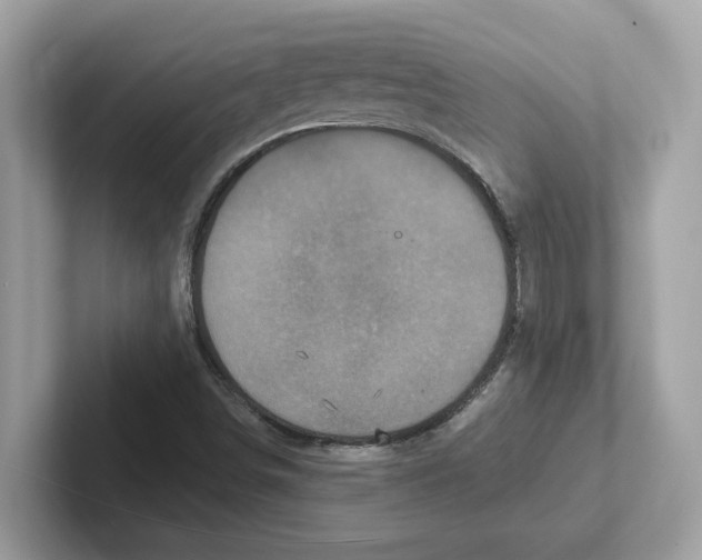 X0000100941498200807221147