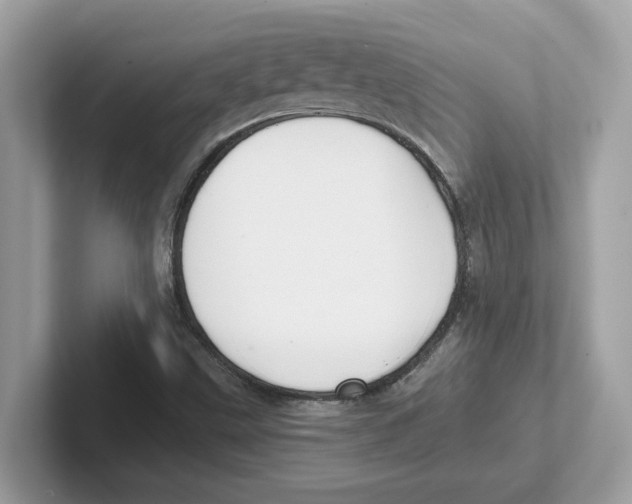 X0000100941499200807221147