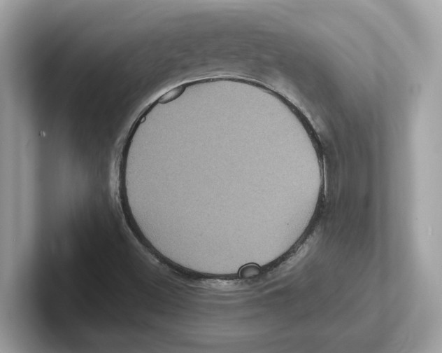 X0000100941500200807221147