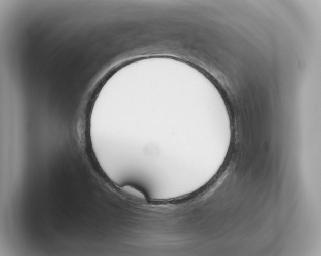 X0000100941502200807221147