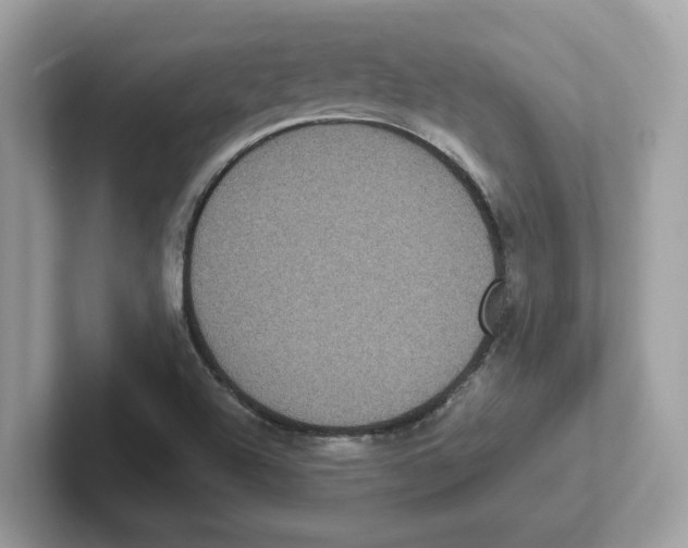 X0000100941504200807221147