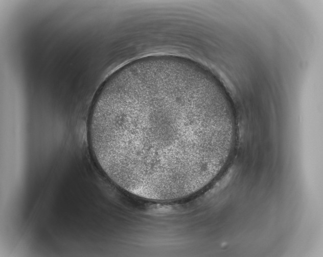 X0000100941505200807221147