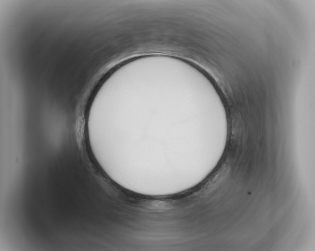 X0000100941507200807221147