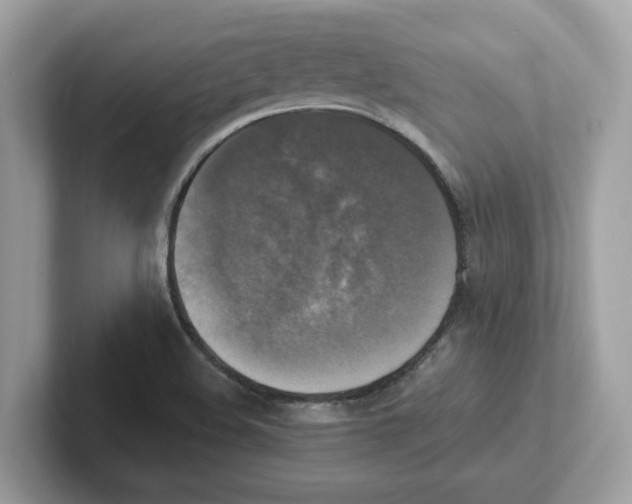 X0000100941508200807221147