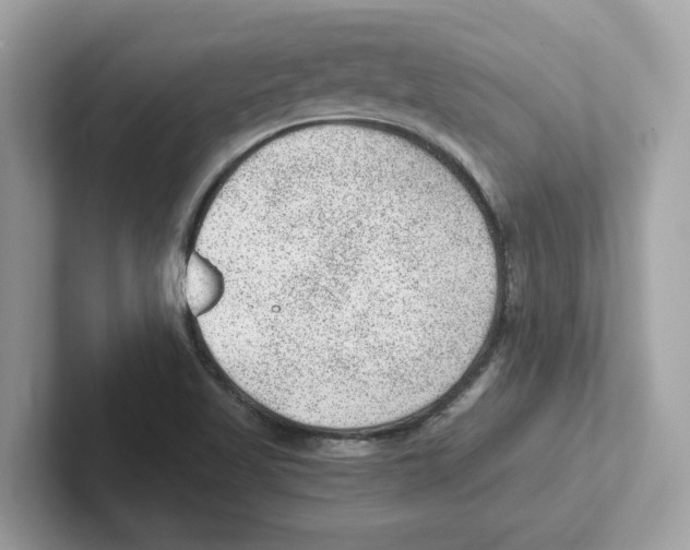 X0000100941509200807221147