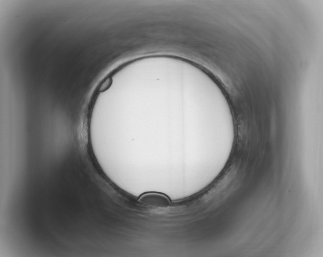 X0000100941510200807221147