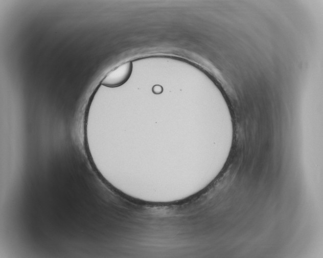 X0000100941512200807221147