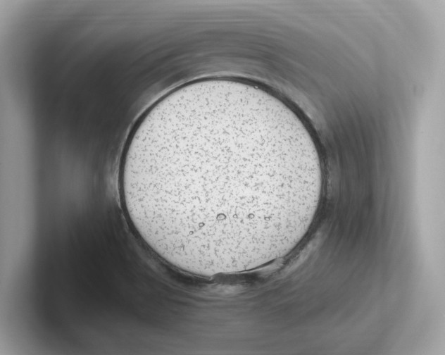 X0000100941513200807221147