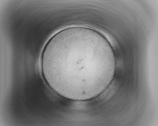 X0000100941514200807221147