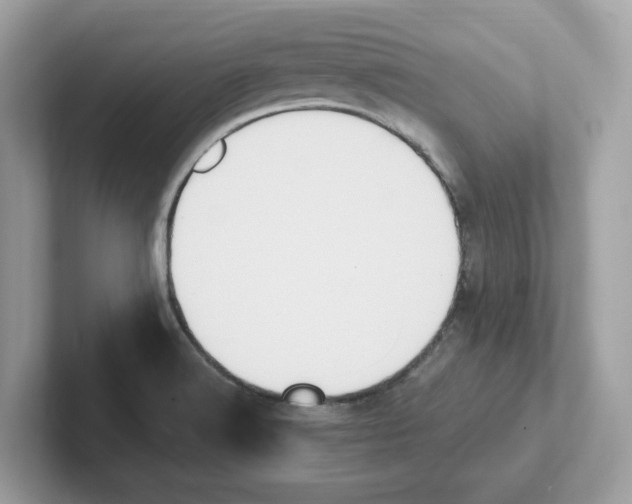 X0000100941516200807221147