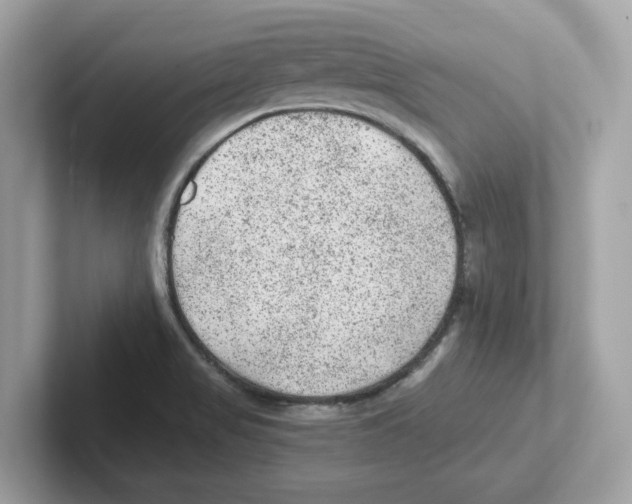 X0000100941517200807221147