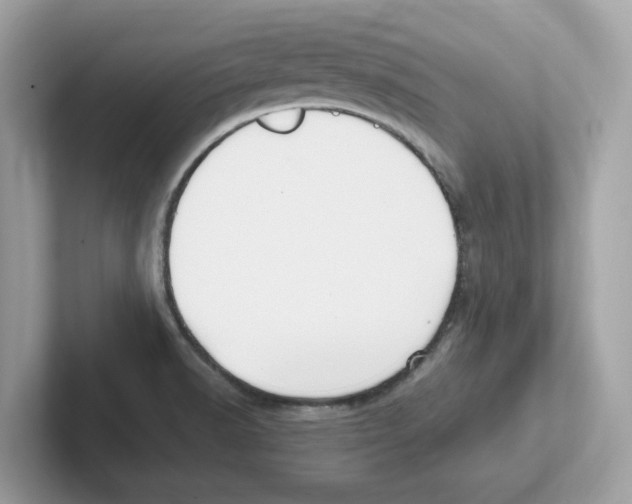 X0000100941518200807221147