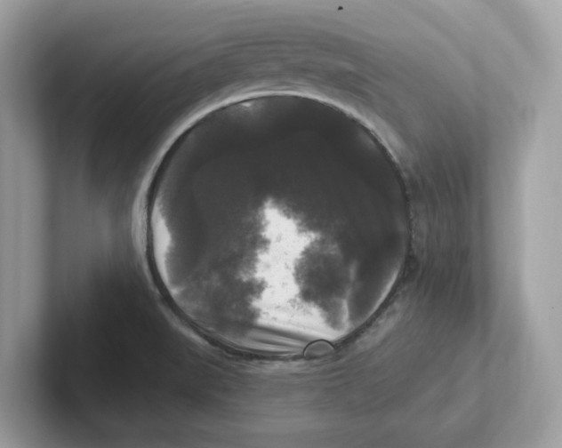 X0000100941519200807221147