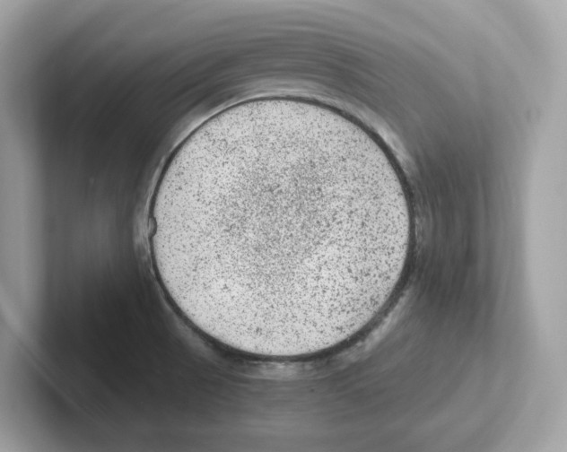 X0000100941521200807221147