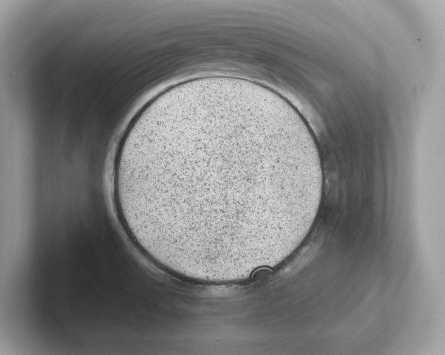 X0000100941523200807221147