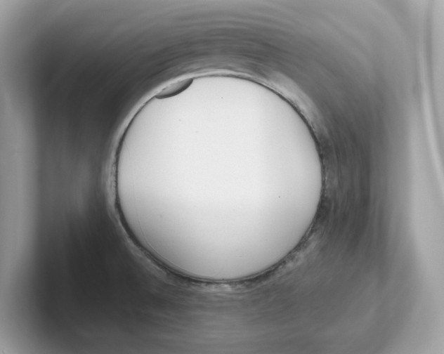 X0000100941524200807221147