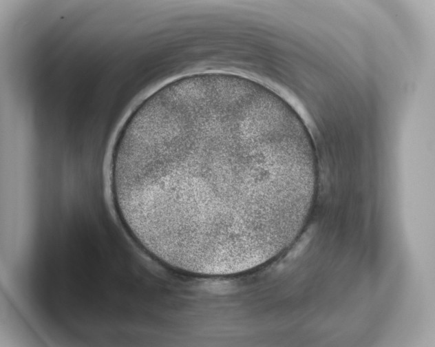 X0000100941525200807221147