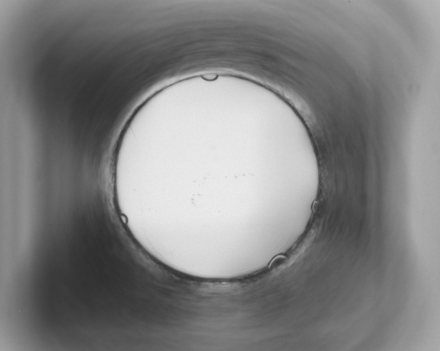 X0000100941526200807221147