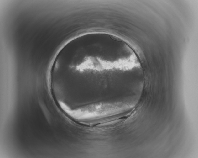 X0000100941527200807221147