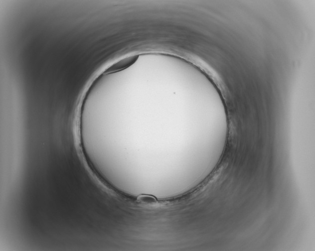 X0000100941528200807221147