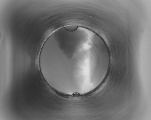 X0000100941529200807221147