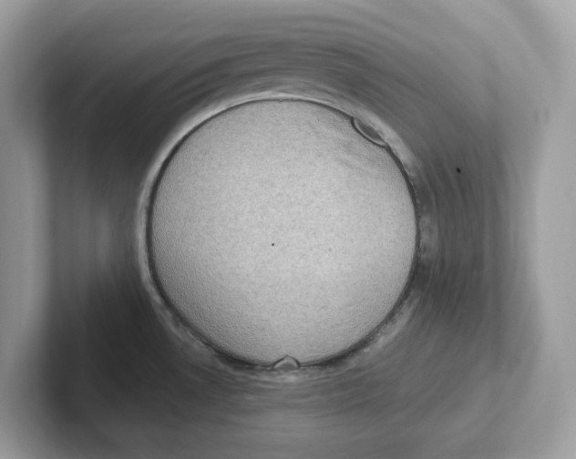 X0000100941530200807221147