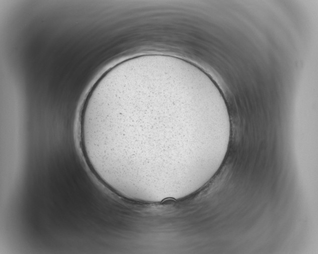 X0000100941531200807221147