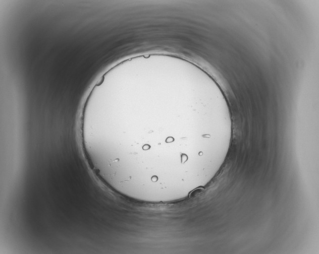 X0000100941532200807221147