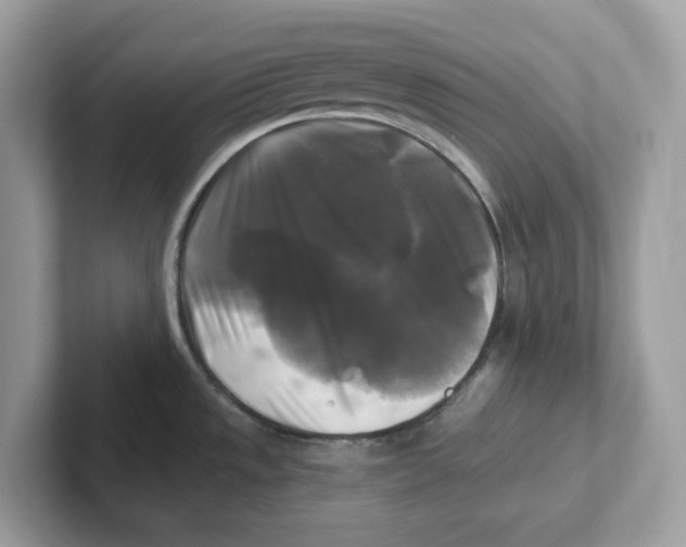 X0000100941533200807221147