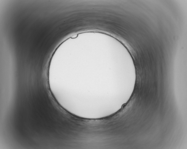 X0000100941534200807221147