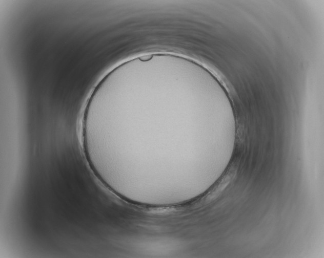 X0000100941535200807221147