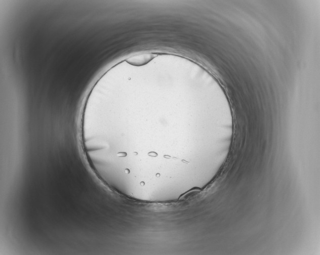 X0000100941536200807221147