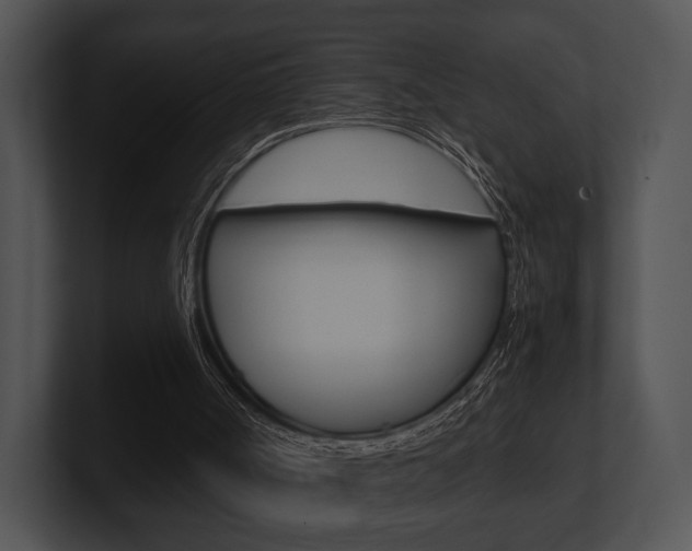 X0000100950002200806241132
