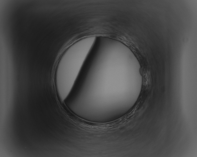 X0000100950004200806241132