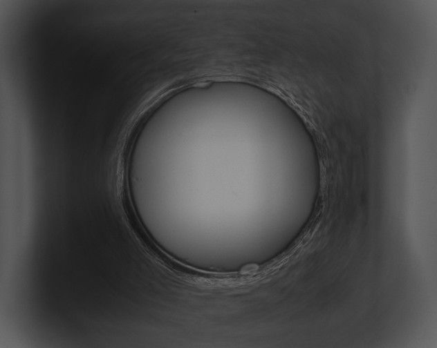 X0000100950005200806241132