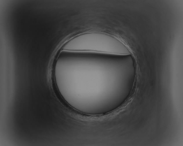 X0000100950007200806241132