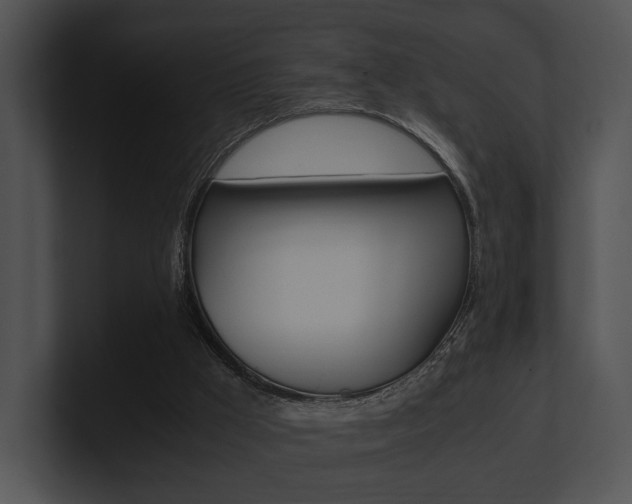 X0000100950009200806241132