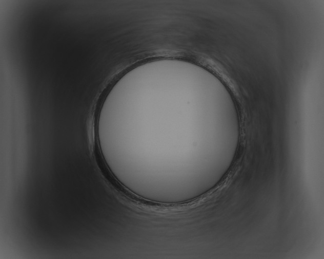X0000100950011200806241132