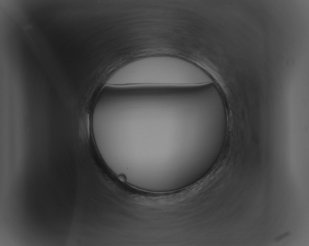 X0000100950013200806241132