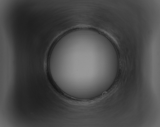 X0000100950015200806241132