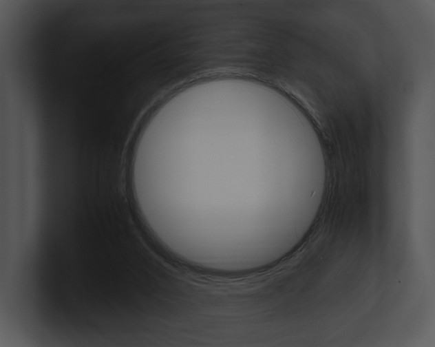 X0000100950016200806241132