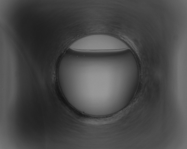 X0000100950017200806241132