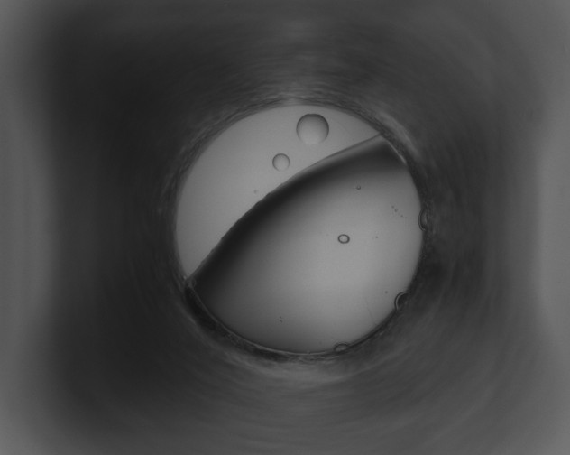 X0000100950020200806241132