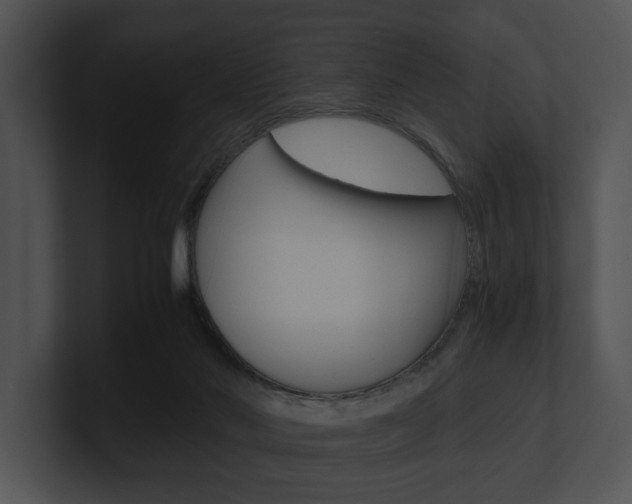 X0000100950022200806241132