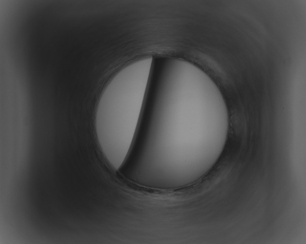 X0000100950024200806241132