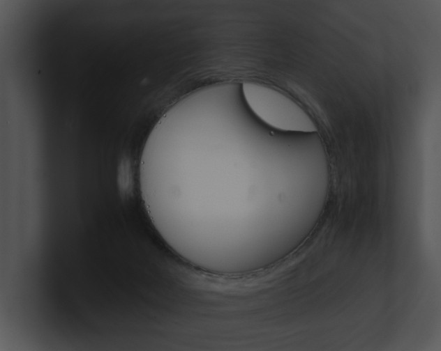 X0000100950026200806241132