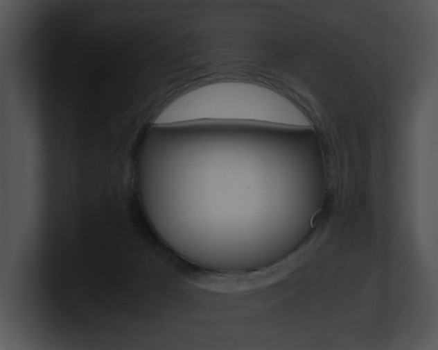 X0000100950029200806241132